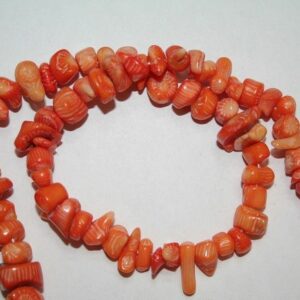 Koralskaller orange ca. 7x8mm (Stjernepris*)